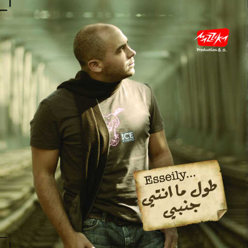 كلمات اغنية محمود العسيلي – بيتى و مطرحى مكتوبة