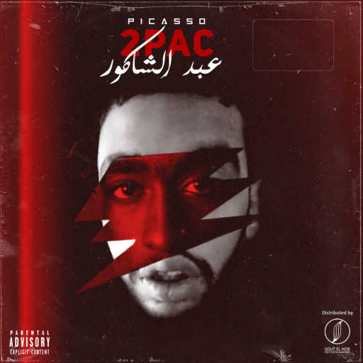 كلمات اغنية بيكاسو – طوباق عبد الشاكور مكتوبة