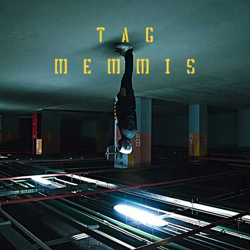 كلمات اغنية ميمس – تاج مكتوبة