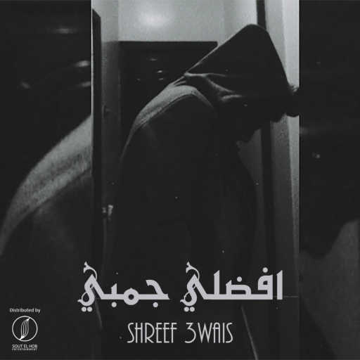 كلمات اغنية شريف عويس – افضلي جمبي مكتوبة