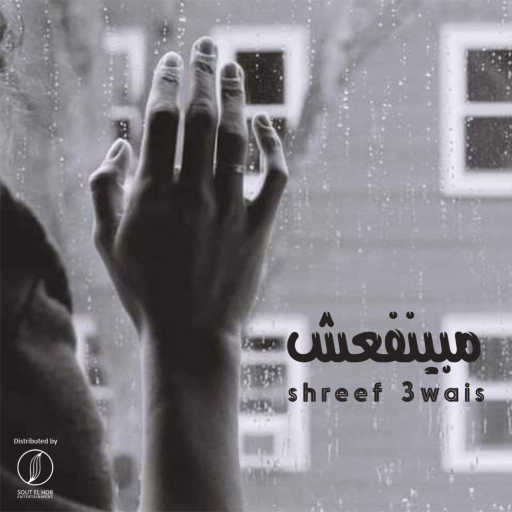 كلمات اغنية شريف عويس – مبينفعش‬ مكتوبة