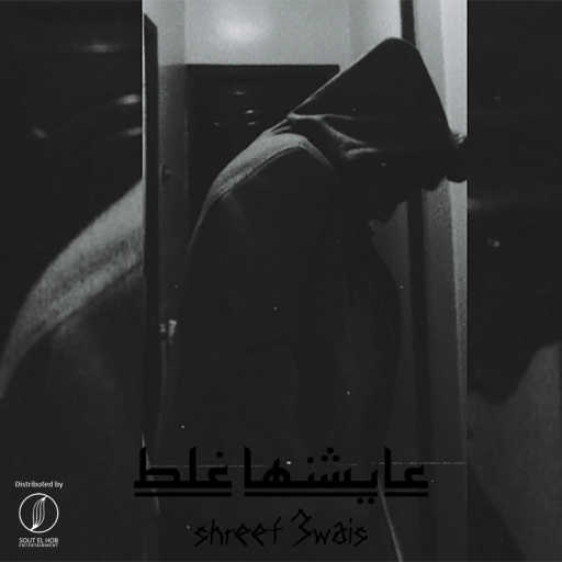 كلمات اغنية شريف عويس – عايشنها غلط مكتوبة