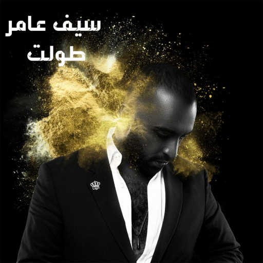 كلمات اغنية سيف عامر – طولت مكتوبة