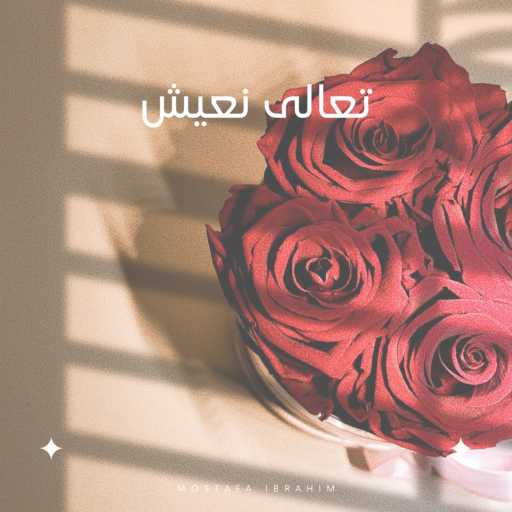 كلمات اغنية مصطفى ابراهيم – تعالى نعيش مكتوبة