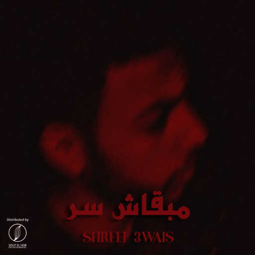 كلمات اغنية شريف عويس – مبقاش سر مكتوبة