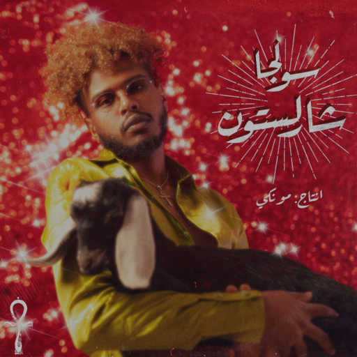 كلمات اغنية سولجا – شارلستون مكتوبة