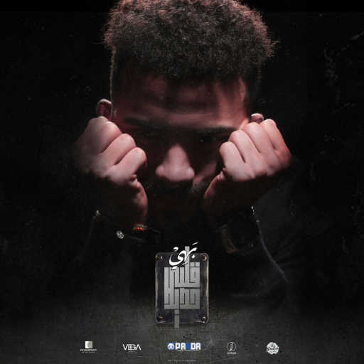 كلمات اغنية شريف بهي – قلبي حديد مكتوبة