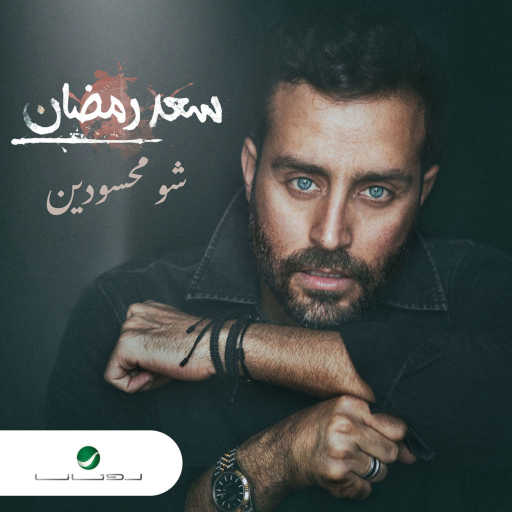 كلمات اغنية سعد رمضان – شو محسودين مكتوبة