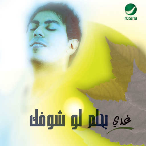 كلمات اغنية غدي – بحلم لو اشوفك مكتوبة