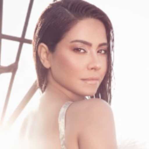 كلمات اغنية شيرين عبدالوهاب – القماص مكتوبة