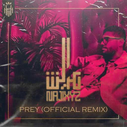 كلمات اغنية ناجي XYZ – فضل الله عايش (PREY Remix) مكتوبة