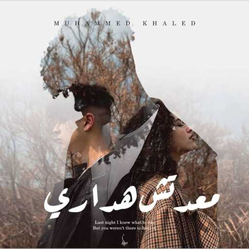 كلمات اغنية محمد خالد – معدتش هداري مكتوبة