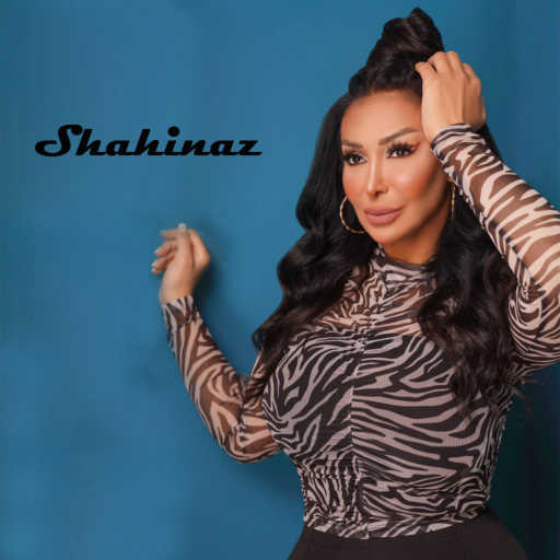 كلمات اغنية شاهيناز – ادفع اللى عليك مكتوبة