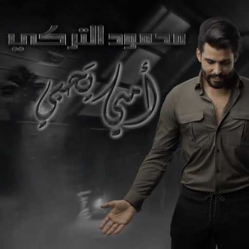 كلمات اغنية محمود التركي – امي يحبي مكتوبة