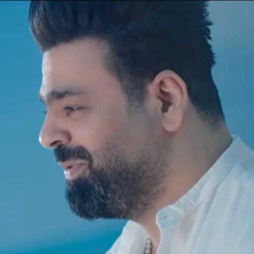 كلمات اغنية زيد الحبيب – حبني مكتوبة