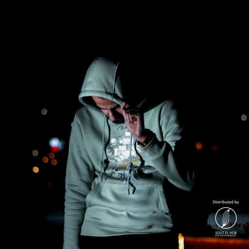 كلمات اغنية ميدريكس – بريكس مكتوبة