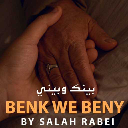 كلمات اغنية صلاح ربيع – بينك و بيني مكتوبة