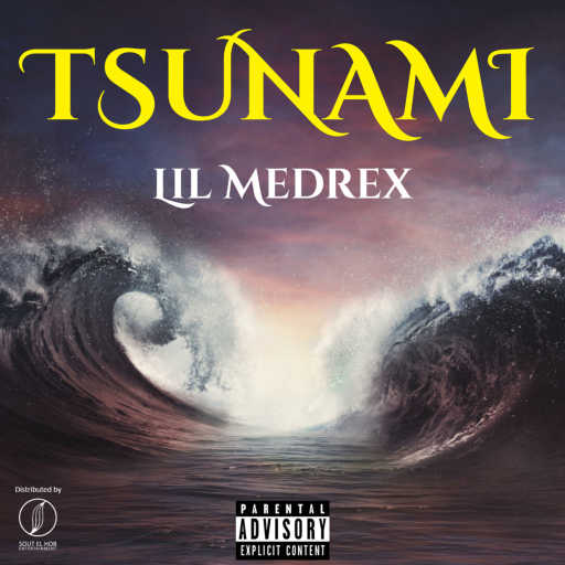 كلمات اغنية ميدريكس – تسونامي مكتوبة