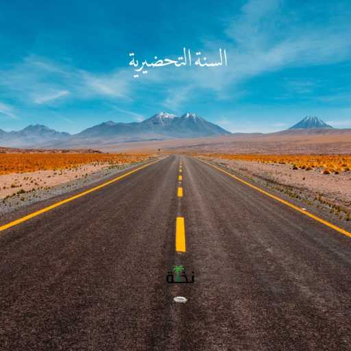 كلمات اغنية نخلة – حياة في حارة مكتوبة