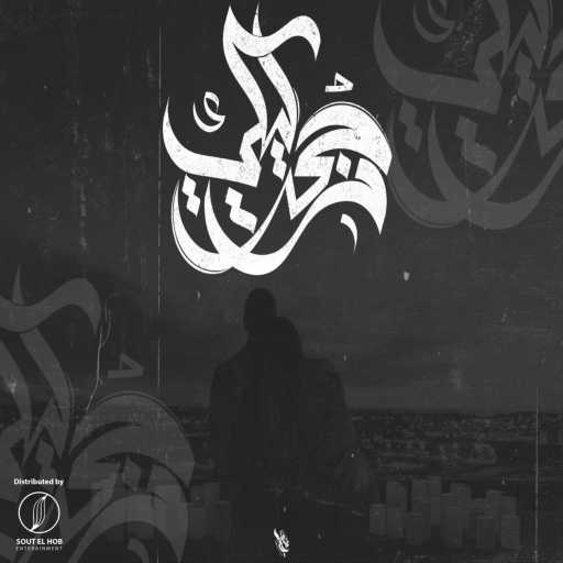 كلمات اغنية مزيكاتي – رجعت ليكي مكتوبة