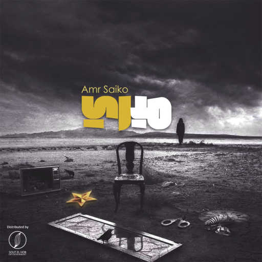 كلمات اغنية عمرو سايكو – ميري مكتوبة