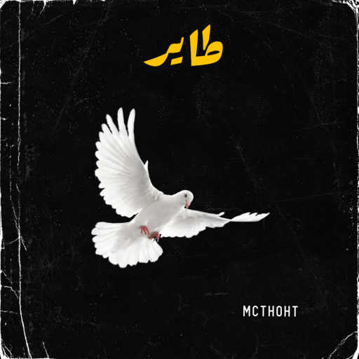 كلمات اغنية فادي سامح – طاير مكتوبة