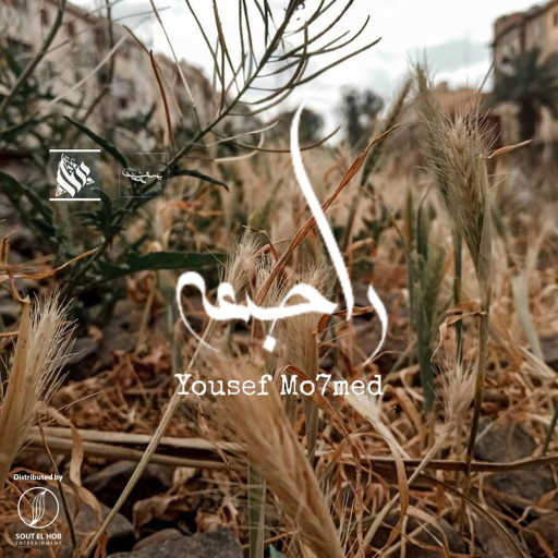 كلمات اغنية يوسف محمد – راجعه مكتوبة