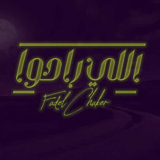 كلمات اغنية فضل شاكر – اللي راحوا مكتوبة