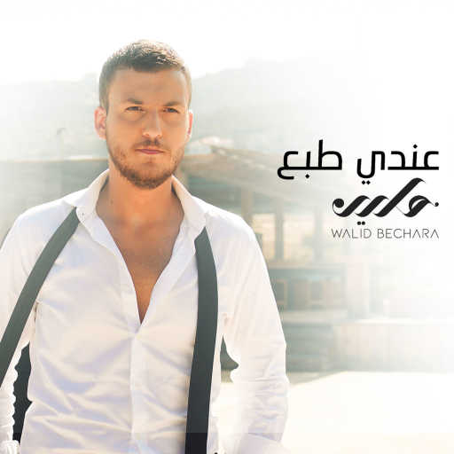 كلمات اغنية وليد بشاره – عندي طبع مكتوبة