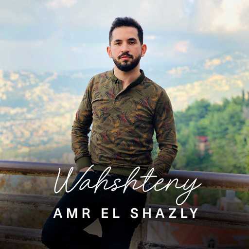 كلمات اغنية عمرو الشاذلي – وحشتيني (كوفر – عمرو دياب) مكتوبة