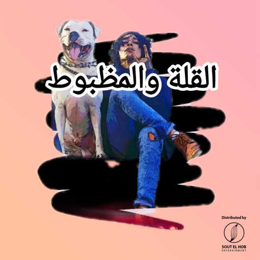 كلمات اغنية نديم الجارحي – القلة والمظبوط مكتوبة