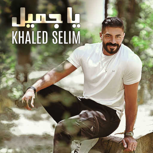 كلمات اغنية خالد سليم – يا جميل مكتوبة