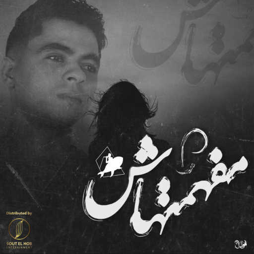 كلمات اغنية عمرو سايكو – مفهمتهاش مكتوبة