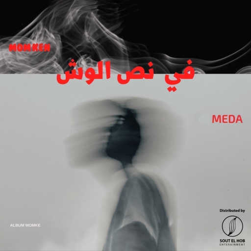 كلمات اغنية ميدا – في نص الوش مكتوبة