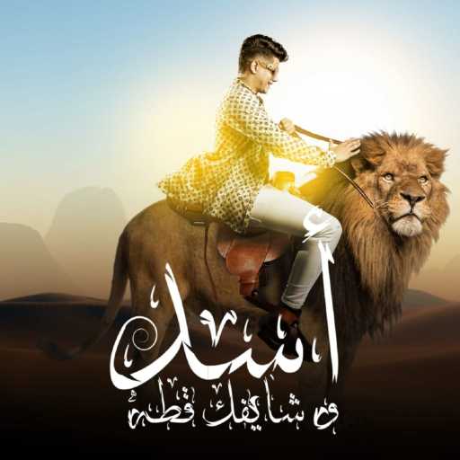 كلمات اغنية امين خطاب – مهرجان اسد و شايفك قطه ( خطر هجومنا مفاجئ ) مكتوبة