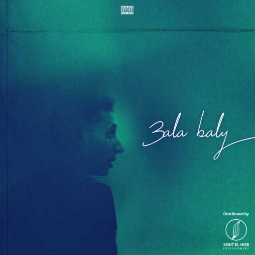 كلمات اغنية يوسف العشري – علي بالي مكتوبة