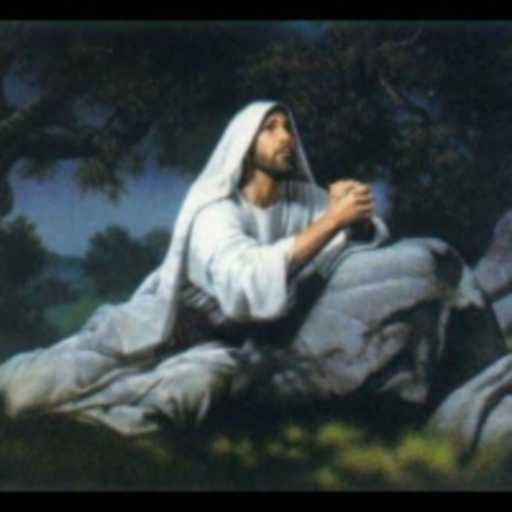 كلمات اغنية جون سمير – شعار أيها الآب مكتوبة