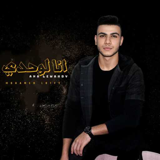 كلمات اغنية محمد لطفي – أنا لوحدي مكتوبة