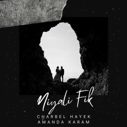 كلمات اغنية شربل حايك – نيالي فيك مكتوبة