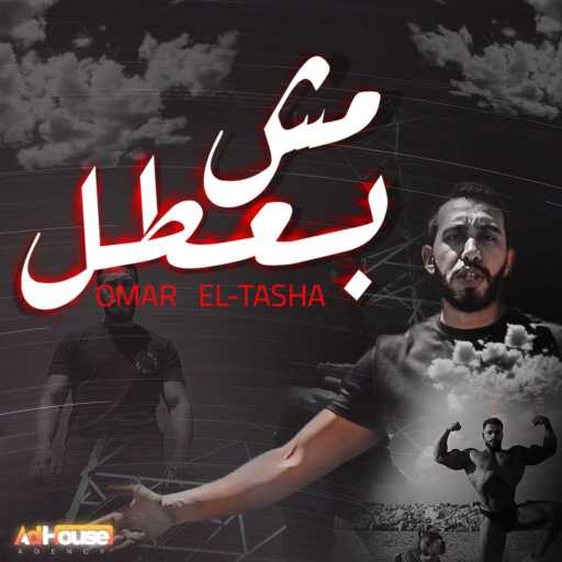 كلمات اغنية عمر الطشة – مش بعطل مكتوبة