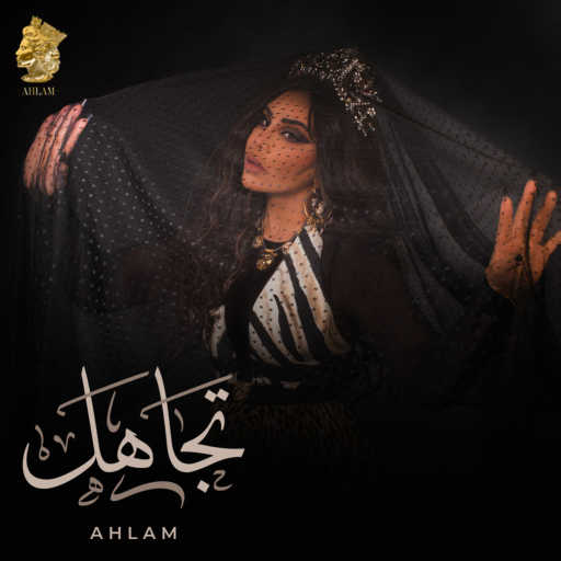 كلمات اغنية أحلام – تجاهل مكتوبة