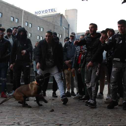 كلمات اغنية وان زيزو – Arab Milan 2 (ف أي Zona) مكتوبة