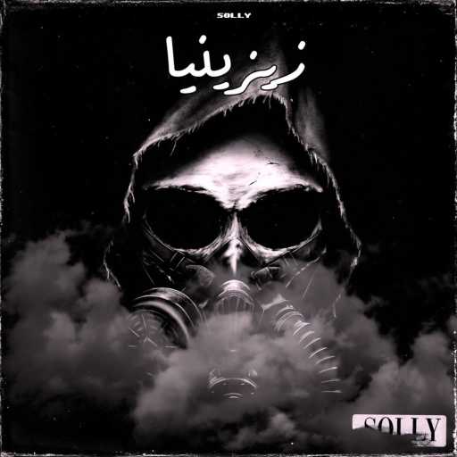 كلمات اغنية سولي – زيزينيا مكتوبة