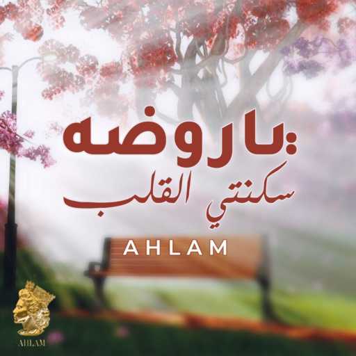 كلمات اغنية أحلام – يا روضة  سكنتي القلب مكتوبة