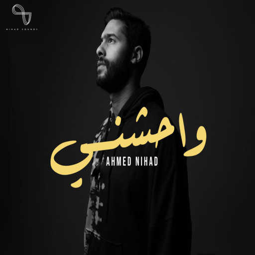 كلمات اغنية احمد نهاد – واحشني مكتوبة