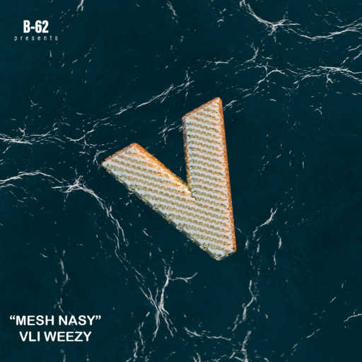 كلمات اغنية علي ويزي – مش ناسي مكتوبة