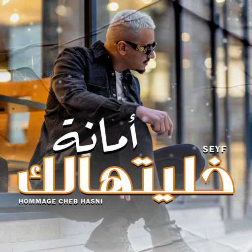 كلمات اغنية Seyf – خليتهالك امانة مكتوبة