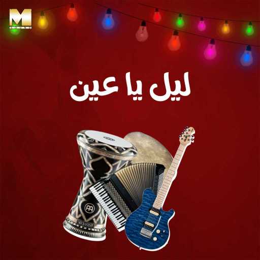 كلمات اغنية مجموعة فنانين – ليل يا عين مكتوبة