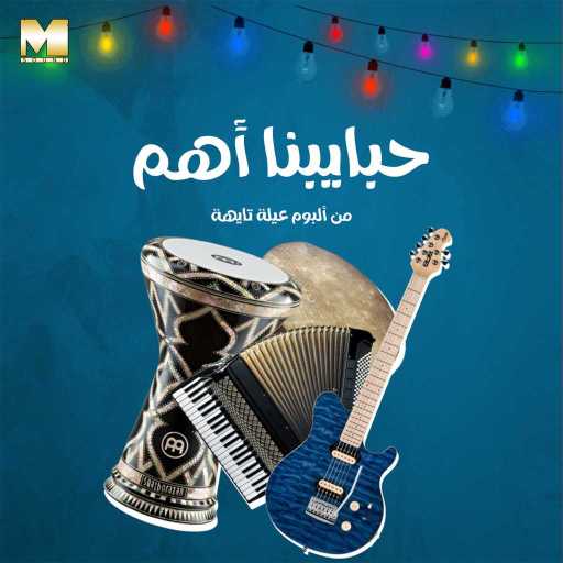 كلمات اغنية مجموعة فنانين – حبايبنا أهم مكتوبة