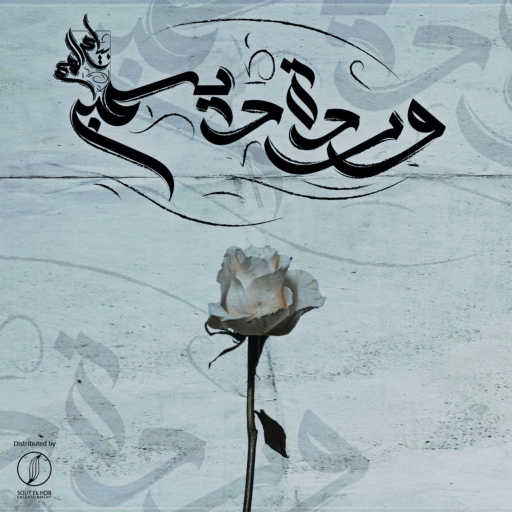 كلمات اغنية بلاك ديڤل – وردة ديسمبر مكتوبة